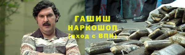 шишки Горняк