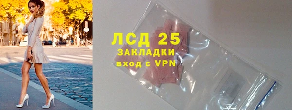 шишки Горняк