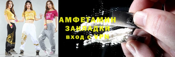 шишки Горняк