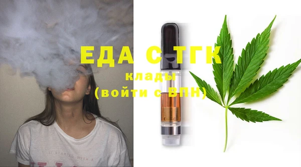 шишки Горняк