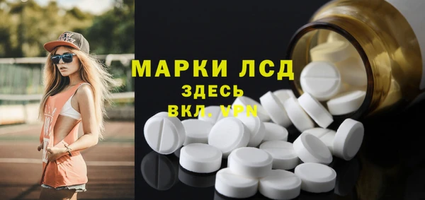 прущие грибы Горнозаводск