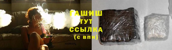 шишки Горняк