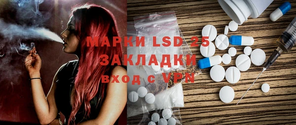 шишки Горняк