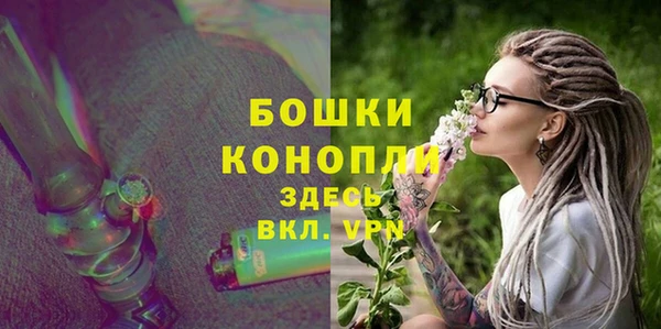 шишки Горняк