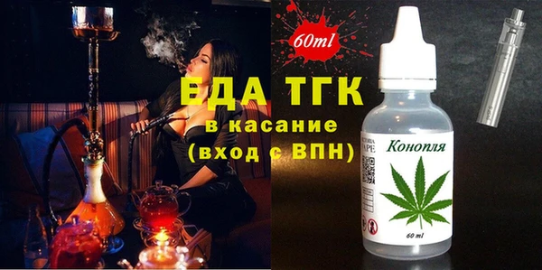 шишки Горняк