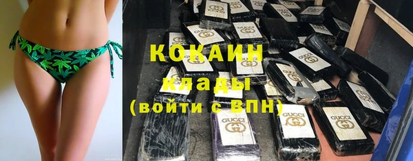 шишки Горняк