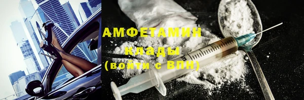 прущие грибы Горнозаводск
