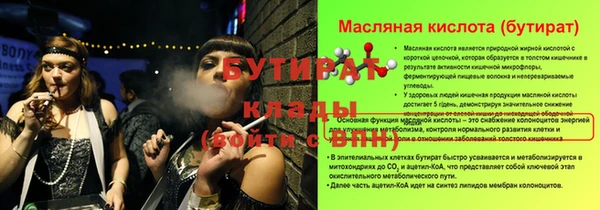 шишки Горняк