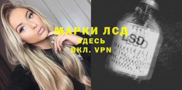 шишки Горняк