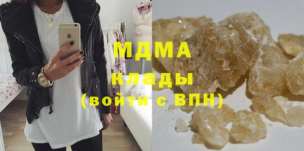 шишки Горняк