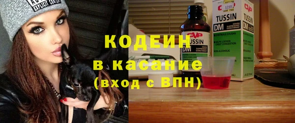шишки Горняк