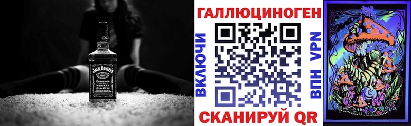 KRAKEN ONION  Нальчик  Псилоцибиновые грибы Psilocybe 